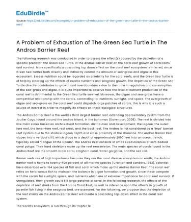 A Problem of Exhaustion of The Green Sea Turtle in The Andros Barrier Reef