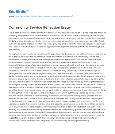 Community Service Reflection Essay