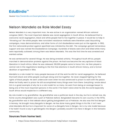 Nelson Mandela: Embodiment of Leadership and Resilience