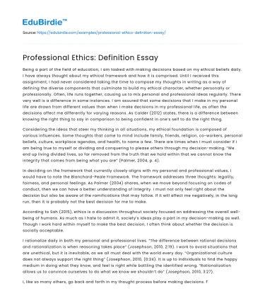 Professional Ethics: Definition Essay