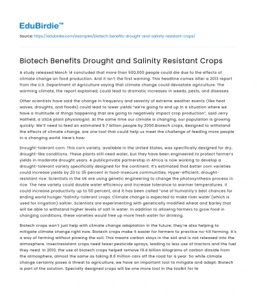 Biotech Benefits Drought and Salinity Resistant Crops