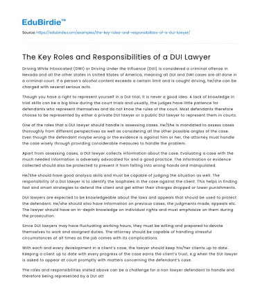 The Key Roles and Responsibilities of a DUI Lawyer
