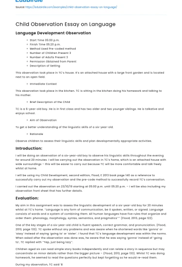 Child Observation Essay on Language