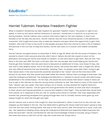 Harriet Tubman: Fearless Freedom Fighter