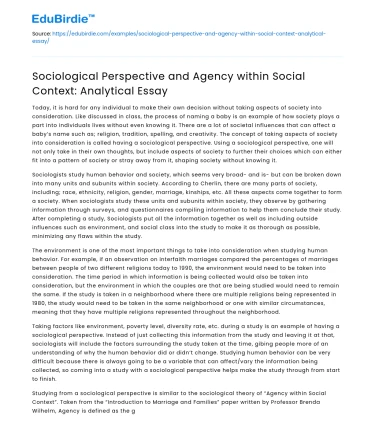 Sociological Perspective and Agency in Social Context: Analysis