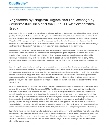Comparative Essay: Vagabonds by Langston Hughes and The Message