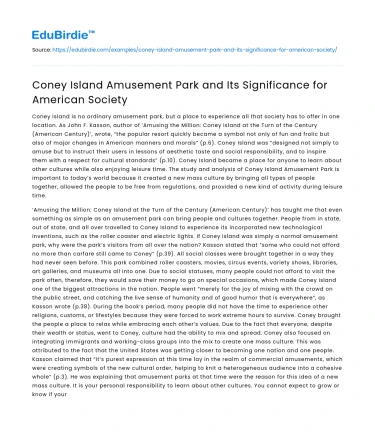 Coney Island Amusement Park and Its Significance for American Society