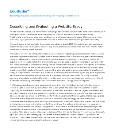 Describing and Evaluating a Website: Essay