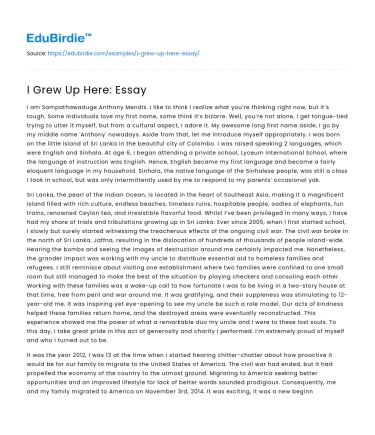 I Grew Up Here: Essay