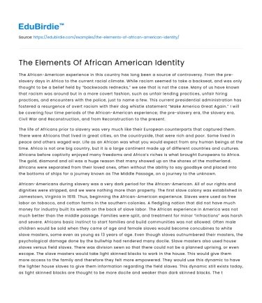 The Elements Of African American Identity