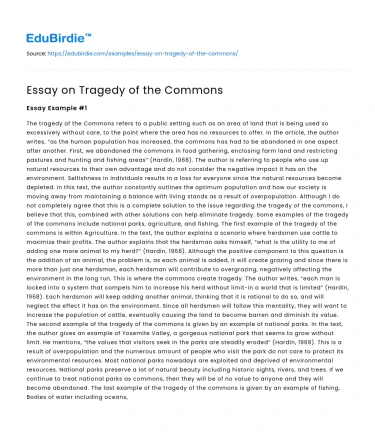 Essay on Tragedy of the Commons