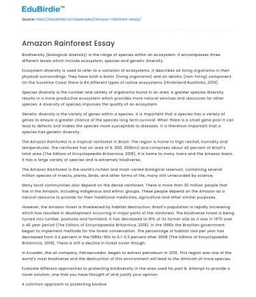 Amazon Rainforest Essay