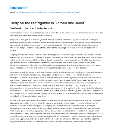 Essay on the Protagonist in ‘Romeo and Juliet’