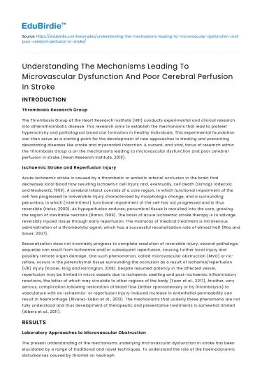 Mechanisms of Microvascular Dysfunction in Stroke