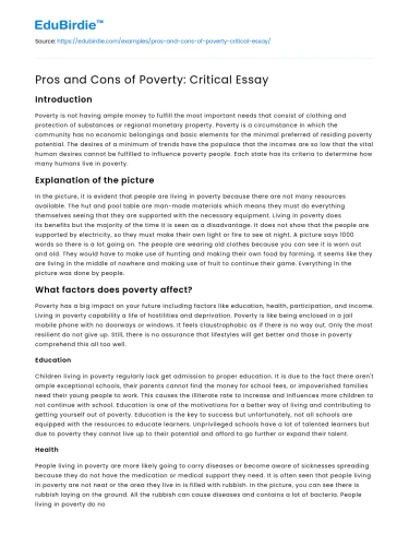 Pros and Cons of Poverty: Critical Essay