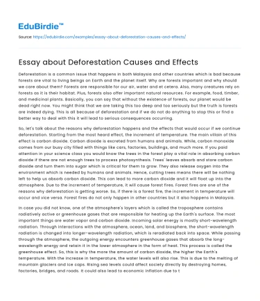 Essay about Deforestation Causes and Effects
