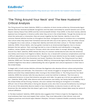 ‘The Thing Around Your Neck’ and ‘The New Husband’: Critical Analysis