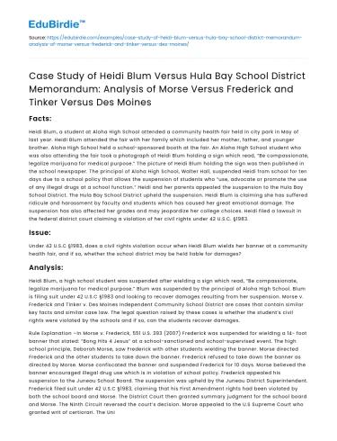 Analysis of Heidi Blum v Hula Bay School District Case