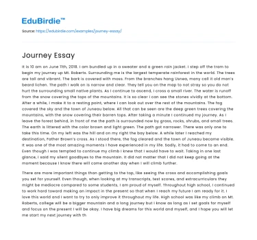 Journey Essay