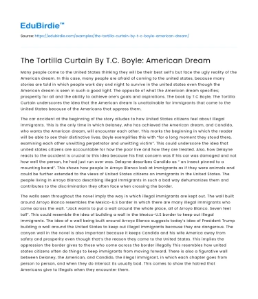 The Tortilla Curtain By T.C. Boyle: American Dream