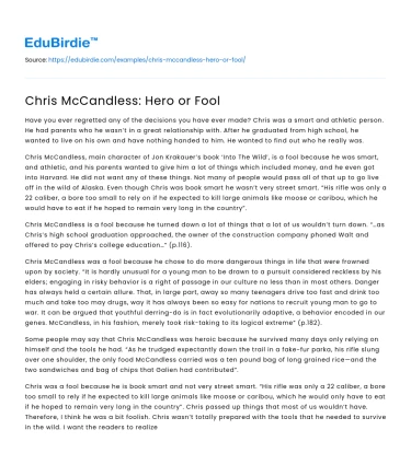 Chris McCandless: Hero or Fool