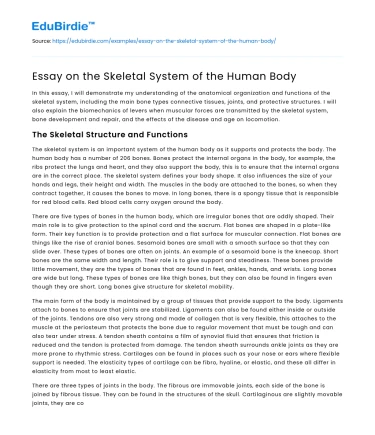 Essay on the Skeletal System of the Human Body