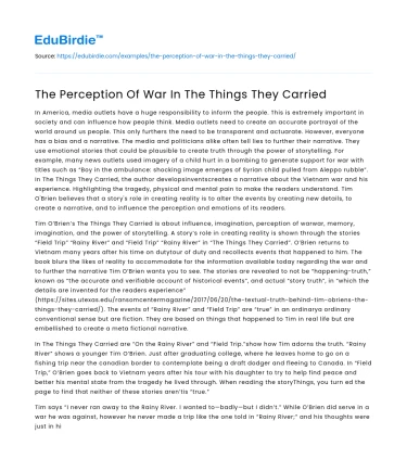 The Perception Of War In The Things They Carried