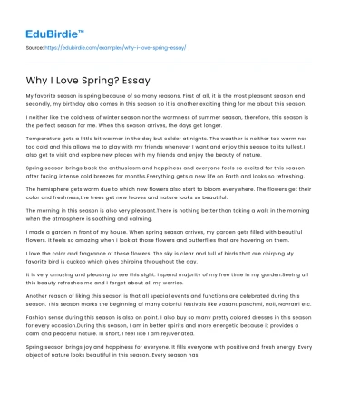 Why I Love Spring? Essay