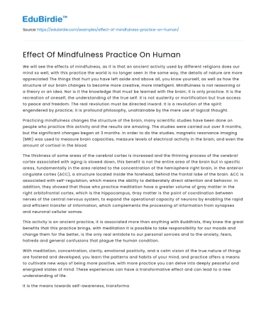 The Impact of Mindfulness Practices