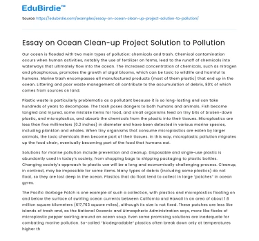 Essay on Ocean Clean-up Project Solution to Pollution