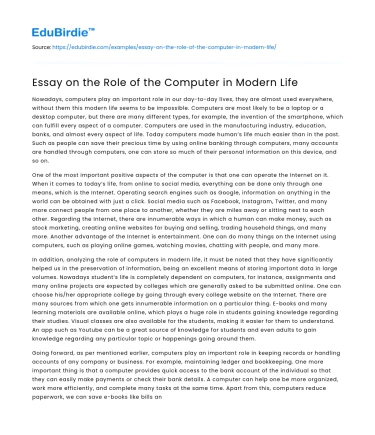 Essay on the Role of the Computer in Modern Life