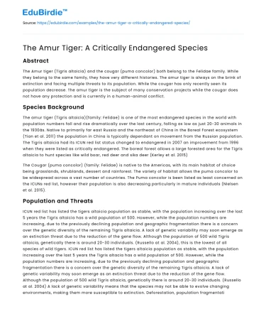 The Amur Tiger: A Critically Endangered Species