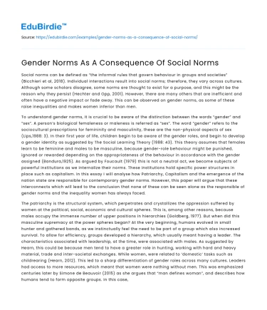 Gender Norms As A Consequence Of Social Norms