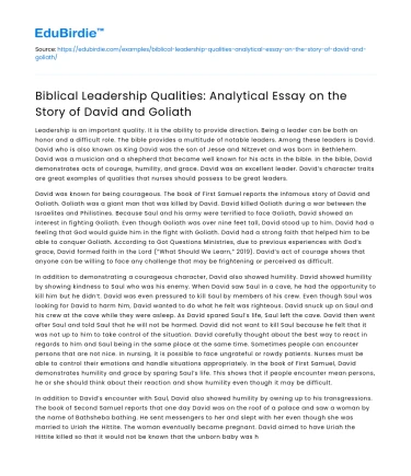 David and Goliath: Biblical Leadership Qualities