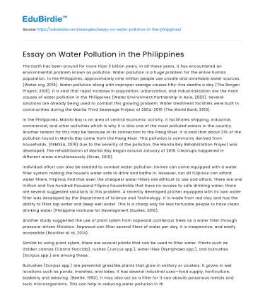 Essay on Water Pollution in the Philippines