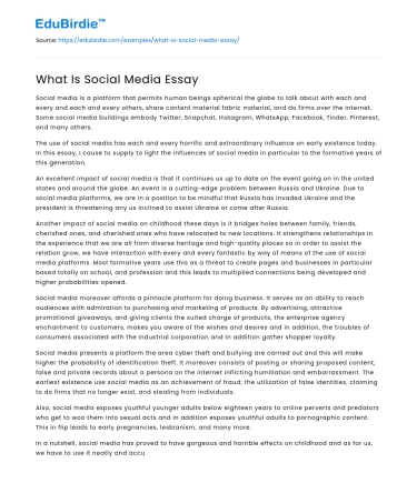 What Is Social Media Essay