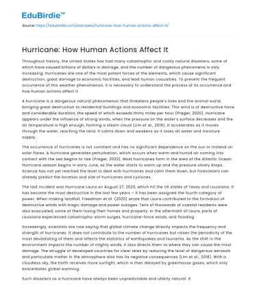 Hurricane: How Human Actions Affect It