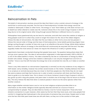 Reincarnation In Pets