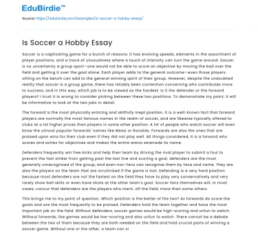 Soccer: Beyond a Mere Pastime