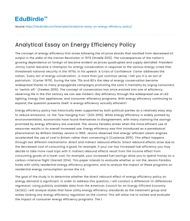 Analytical Essay on Energy Efficiency Policy