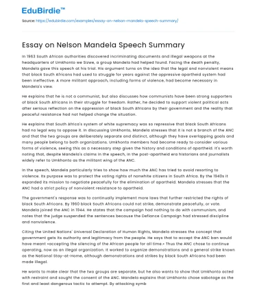 Essay on Nelson Mandela Speech Summary