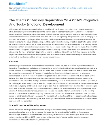 Impact of Sensory Deprivation on Child Development