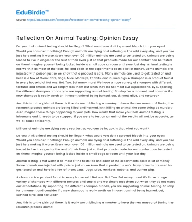Reflection On Animal Testing: Opinion Essay