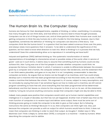 The Human Brain Vs. the Computer: Essay