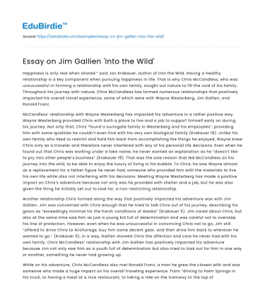 Essay on Jim Gallien ‘Into the Wild’