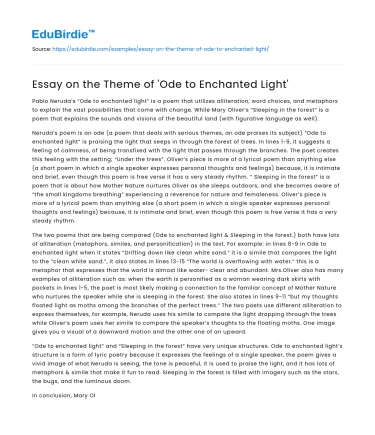 Essay on the Theme of ‘Ode to Enchanted Light’