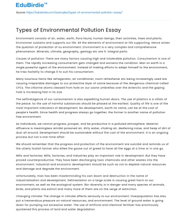 Types of Environmental Pollution Essay