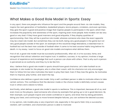 What Makes a Good Role Model in Sports: Essay