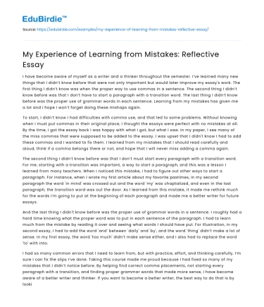 My Experience of Learning from Mistakes: Reflective Essay