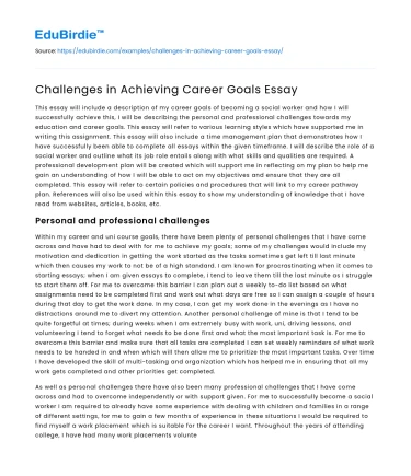 Challenges in Achieving Career Goals Essay